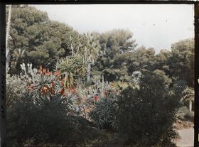 Image représentant Cap Martin Le Jardin