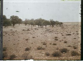 Image représentant La dépression du sol formant la daya