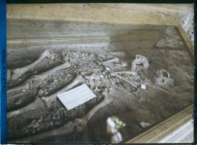 Image représentant Squelettes trouvés grotte Barma Grande