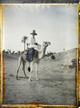 Image représentant Un officier méhariste sur sa monture