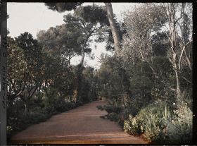 Image représentant Cap-Martin - Le Jardin