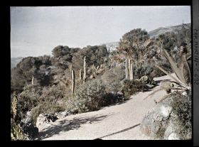 Image représentant Partie basse du jardin vers les rochers