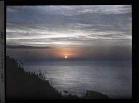 Image représentant Végétation se découpant en ombre chinoise sur la mer, lors d'un lever de soleil au cap Martin
