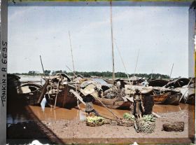 Image représentant Le transport des bananes sur les sampans au bord du Fleuve Rouge