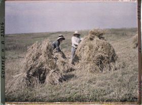 Image représentant France, Combles, La récolte de l'avoine