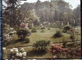 Image représentant Le marais