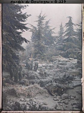 Image représentant Bassin et butte du " sanctuaire japonais " sous le givre, non loin de la façade de temple