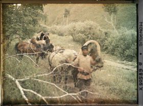 Image représentant Les deux voitures et les cochers de l'équipage de Stéphane Passet