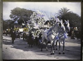 Image représentant Le carnaval, la fête des fleurs