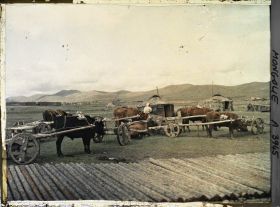 Image représentant Caravane de bœufs attelés à des chars rustiques