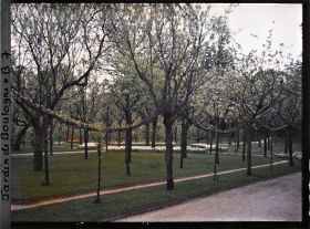 Image représentant Partie ouest du verger-roseraie vue non loin de la dépendance, en direction du jardin japonais