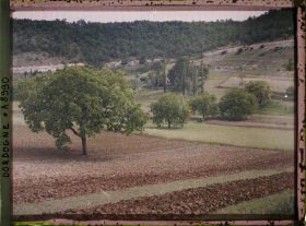 Image représentant France, Près des Eyzies, Un châtagnier au milieu de terres rouges labourées