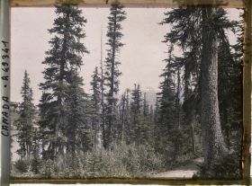 Image représentant Canada, Lac Louise, Sentier autour du Lac