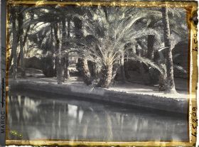 Image représentant Un bassin de retenue dans l'oasis de Zenaga