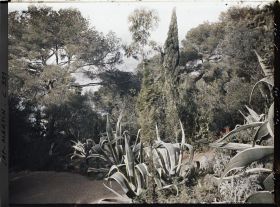 Image représentant Cap Martin Le Jardin