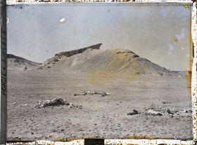 Image représentant Squelettes de chameaux