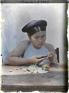 Image représentant Une jeune femme épointant la feuille de bétel lors de la deuxième phase de la confection d'une chique de bétel