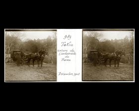 Image représentant Voiture de l'ambassade de France dans le jardin botanique de l'Université impériale de Tokyo