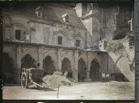 Image représentant Chevaux dans le cloître de l'ancienne abbaye Saint-Jean-des-Vignes