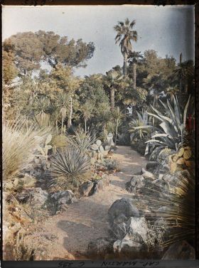 Image représentant Cap Martin Le Jardin