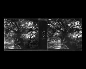 Image représentant Les abords du jardin botanique ?