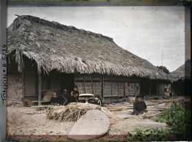 Image représentant Le séchage du riz dans une cour de ferme après la moisson