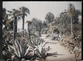 Image représentant Cap Martin Le Jardin