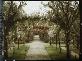 Image représentant Axe central du verger-roseraie vu en direction du jardin anglais, après le rond-point côté dépendance
