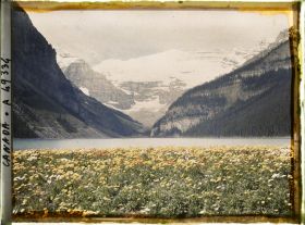 Image représentant Canada, Lac Louise, Vue vers le Glacier Victoria et fleurs de montagne
