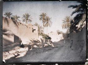 Image représentant Une route de terre dans l'oasis