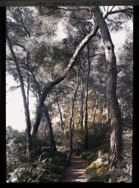 Image représentant Une allée dans le jardin