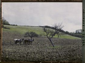 Image représentant La combe vue de la route de Commes