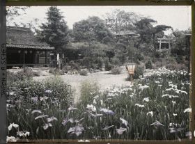 Image représentant Jardin d'iris de Horikiri