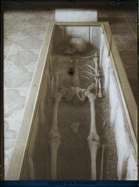 Image représentant Musée de Paléontologie, squelette de la Condamine Monaco