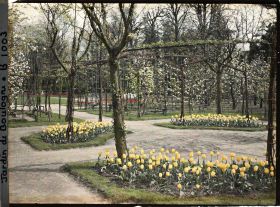 Image représentant Partie sud-est du verger-roseraie vue depuis le rond-point fleuri, proche du jardin français