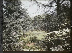 Image représentant Fenêtre de branchages et d'arbustes en fleurs, ouvrant vers le nord, sur la partie est du marais