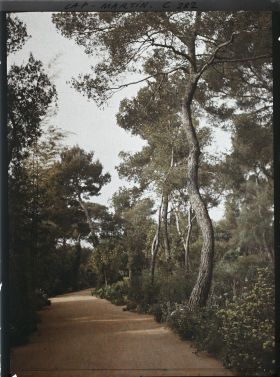 Image représentant Cap-Martin - Le Jardin