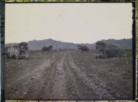 Image représentant Ming Shisanling (" Treize Tombeaux des Ming ")