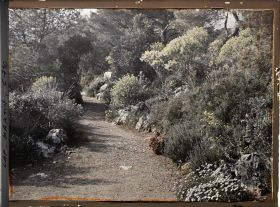 Image représentant Jardin divers