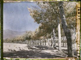 Image représentant Afghanistan, Kaboul, La route de Paghman Kaboul, autre aspect