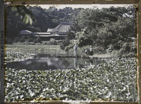 Image représentant Parc Sankeien, étang couvert de lotus