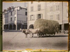 Image représentant Un char de foin attelé de deux boeufs de race d'Aubrac, place des armes