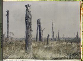 Image représentant Belgique, Hooghe, Le Parc du Château
