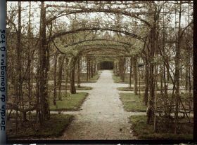 Image représentant Axe central du verger-roseraie vu en direction de la dépendance, à la limite du jardin français