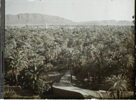 Image représentant La palmeraie et le village de Zenaga