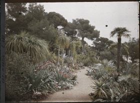Image représentant Cap Martin Le Jardin