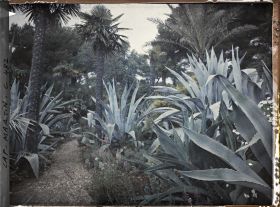 Image représentant Cap Martin Le Jardin