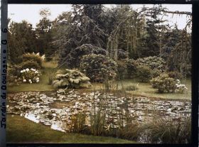 Image représentant Bassin du marais planté de nénuphars en fleurs, vu en direction de l'est