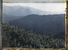 Image représentant Vignes à flanc de montagne