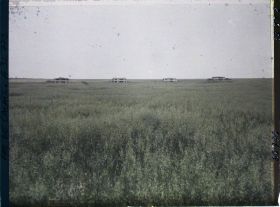 Image représentant France, La Targette, Quatre abris d'Artillerie émergeant de la plaine couverte de moissons